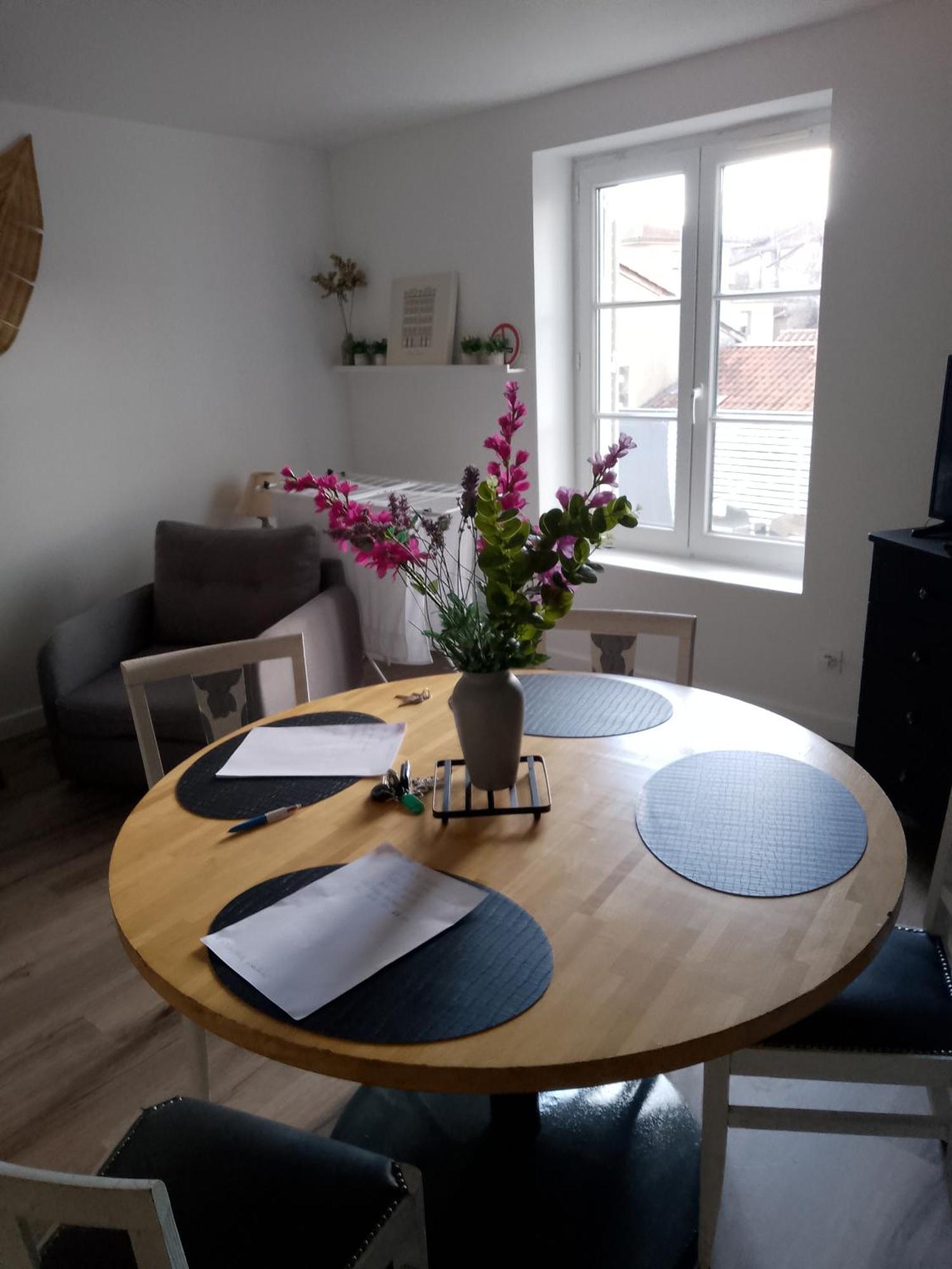 Apartment Le Grand Plein Centre *